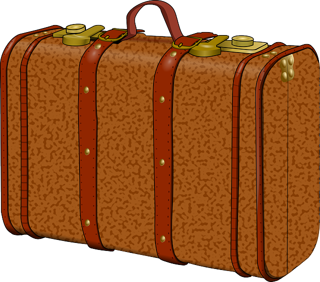 hnědý kufr